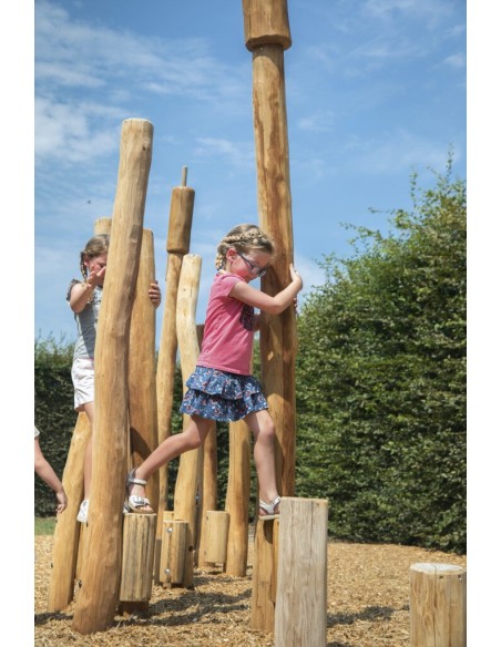 Champ de roseaux 17 poteaux pour aire de jeux | Distri Buggy