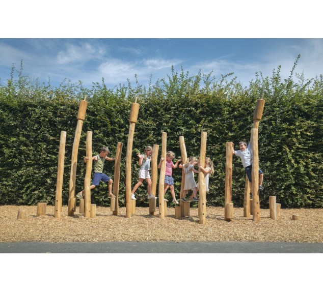 Champ de roseaux 22 poteaux | Distri Buggy