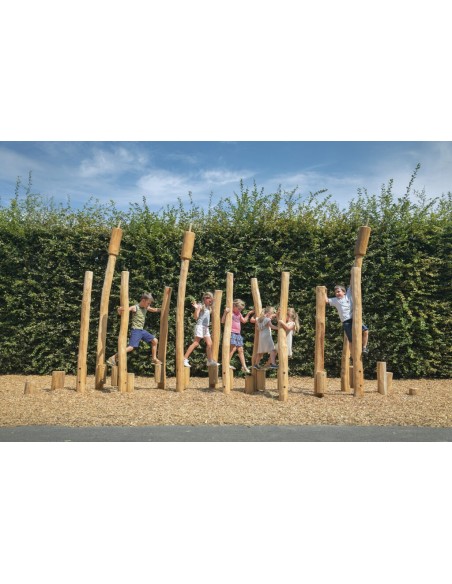 Champ de roseaux 22 poteaux | Distri Buggy
