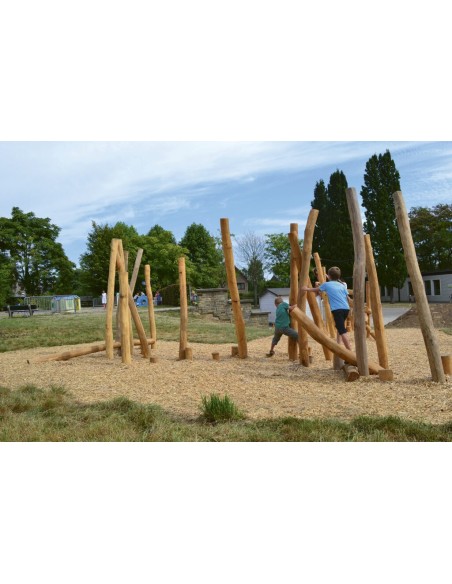 La Jungle 25 poteaux en robinier | Distri Buggy