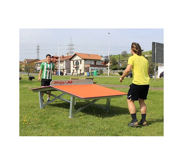 Take Ball table multisports extérieure | Distri Buggy