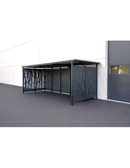 Abri Cubic 5 x 2 M