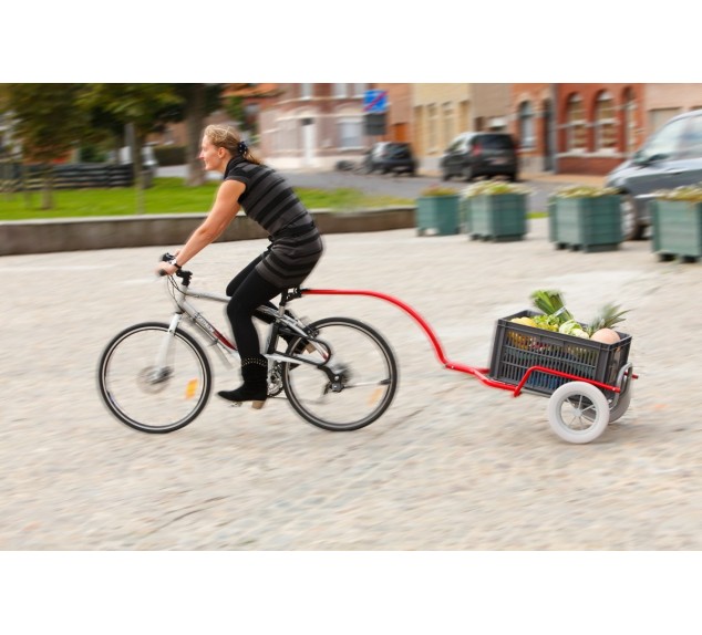 Chariot de randonnée Ultreïa Cyclo A710P | Distri Buggy
