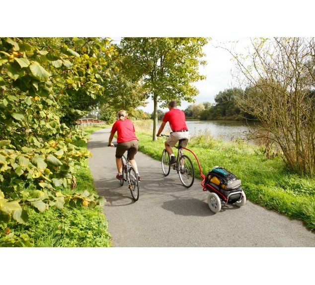 Chariot de randonnée Ultreïa Cyclo A710P | Distri Buggy