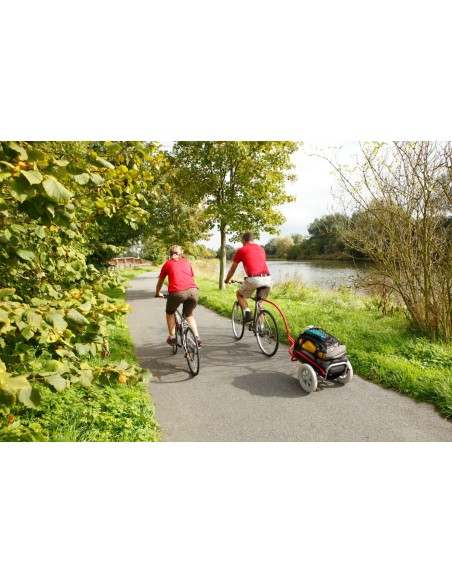 Chariot de randonnée Ultreïa Cyclo A710P | Distri Buggy