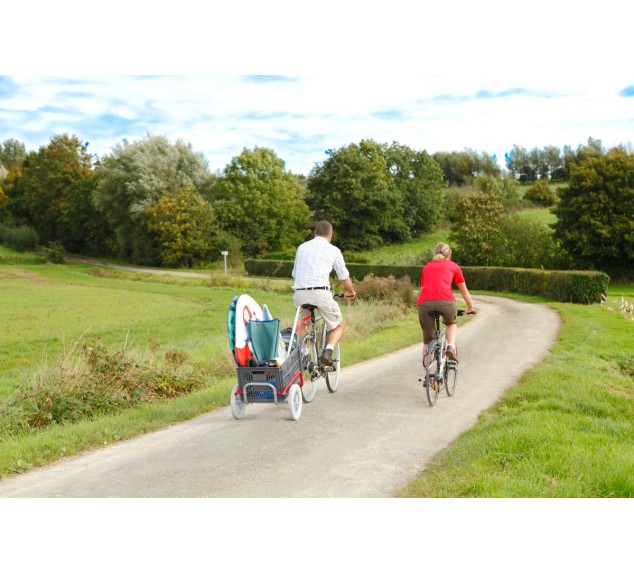 Chariot de randonnée Ultreïa Cyclo A710P | Distri Buggy