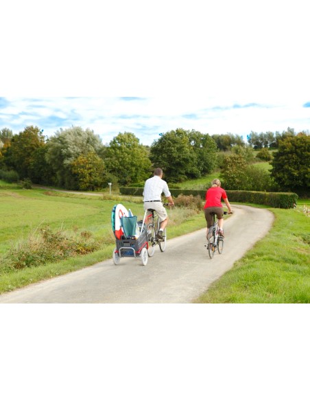 Chariot de randonnée Ultreïa Cyclo A710P | Distri Buggy
