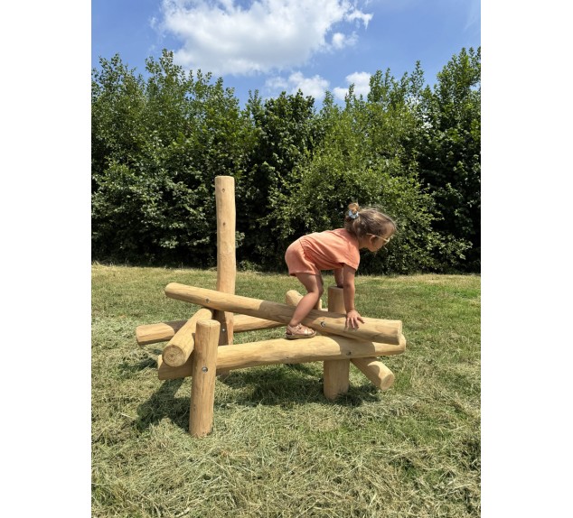 Aire de jeux en robinier Molehill | Distri Buggy