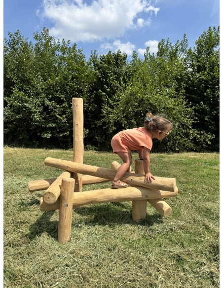 Aire de jeux en robinier Molehill | Distri Buggy