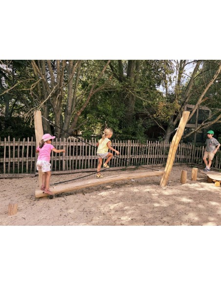 Rhinocéros en robinier, aire de jeux | Distri Buggy