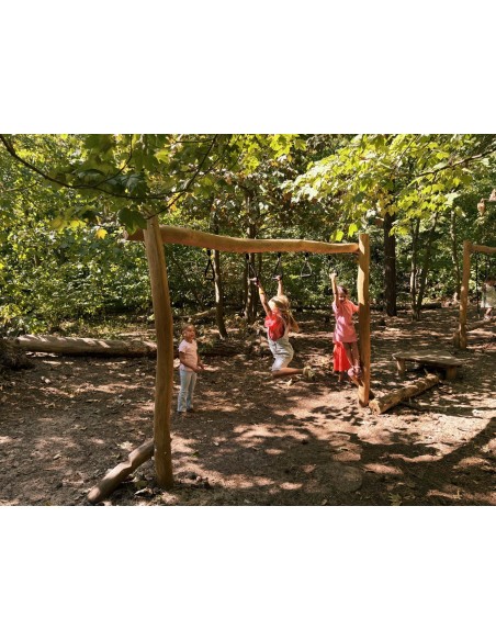 Aire de jeux en Robinier, module de motricité | Distri Buggy
