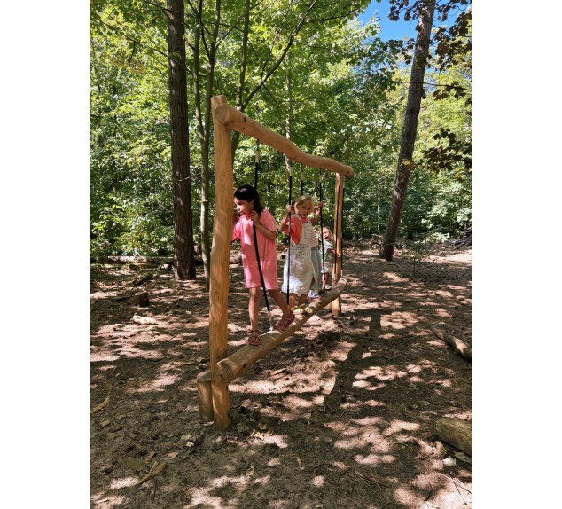 Aire de jeux en Robinier Zèbre | Distri Buggy