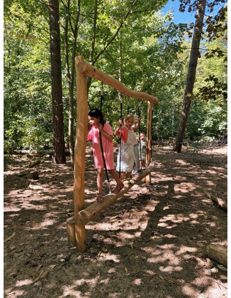 Aire de jeux en Robinier Zèbre | Distri Buggy
