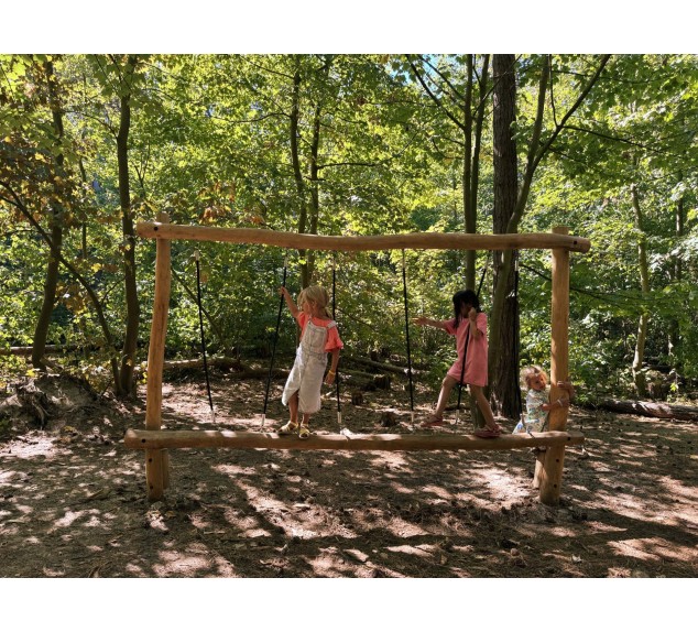 Aire de jeux en Robinier Zèbre | Distri Buggy