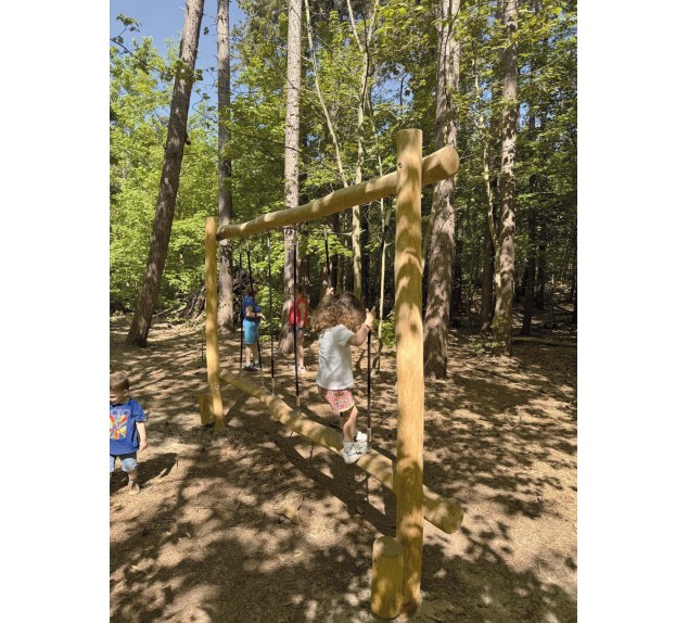 Aire de jeux en Robinier Zèbre | Distri Buggy