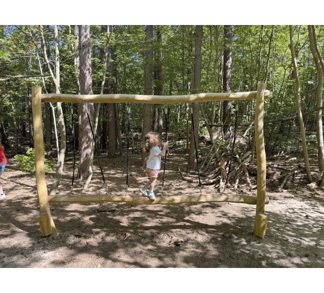 Aire de jeux en Robinier Zèbre | Distri Buggy