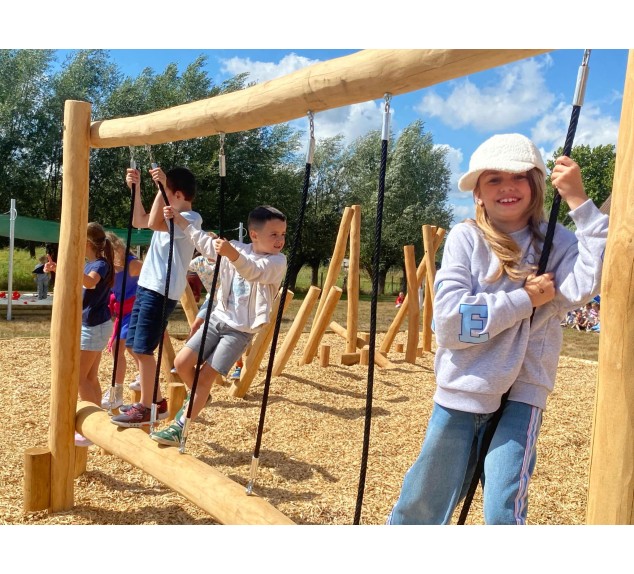 Aire de jeux en Robinier Zèbre | Distri Buggy