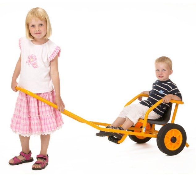 Rabo chariot Rickshaw 7043 2