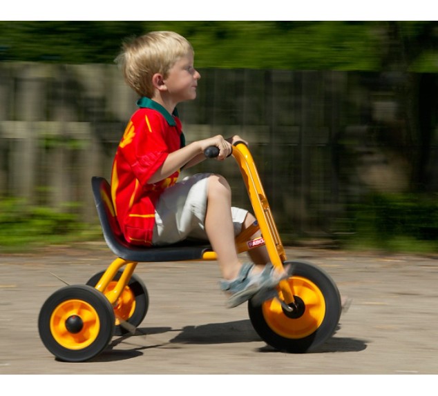 Rabo tricycle Tricat 2