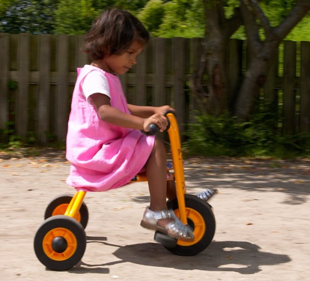 Rabo Tricycle 1 (Petit) | Distri Buggy