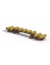 Dos de crocodile